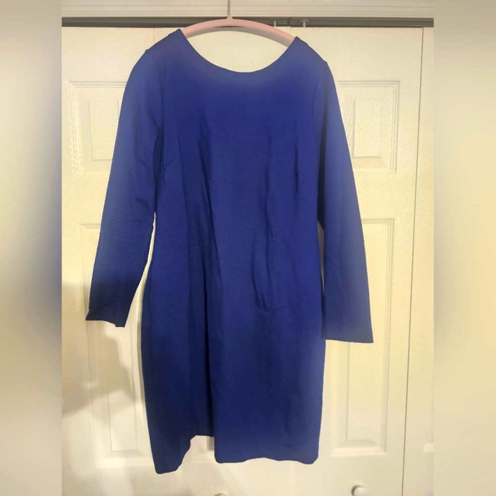 Elegant Blue Long Sleeve Dress